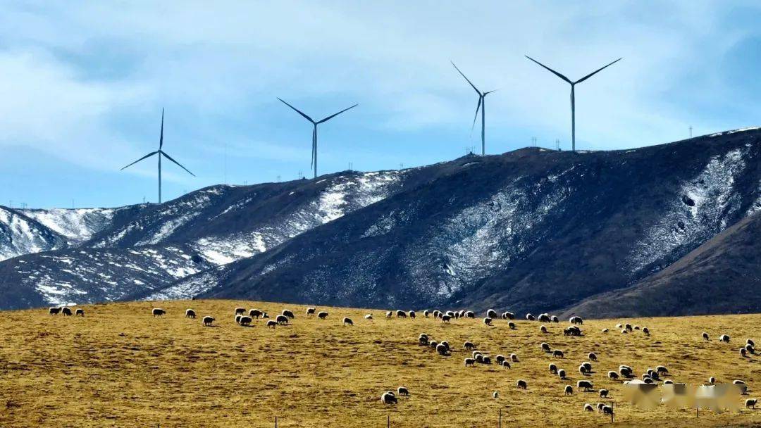 你看,摄影师眼中的同宝山有多美→_海北_瞬间_来源