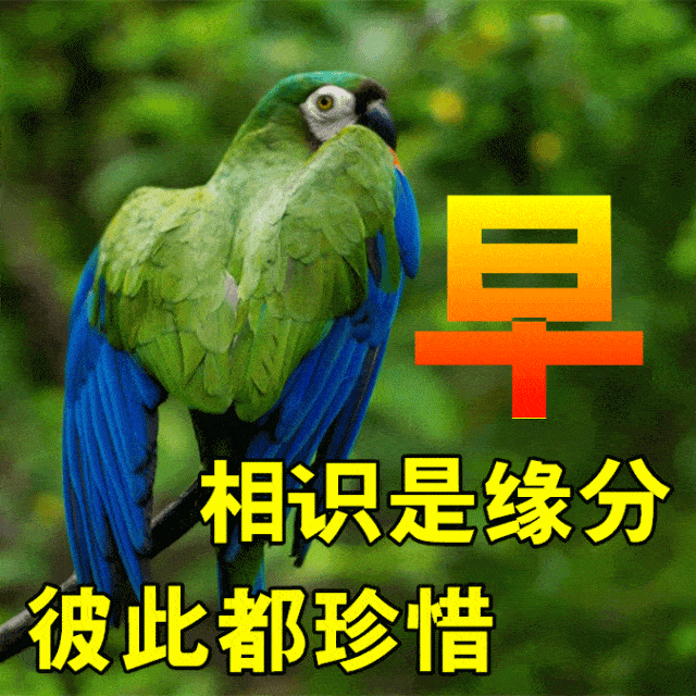 6月15日最漂亮早上好动态表情图片大全,早晨好动图美图大全_祝福_生活
