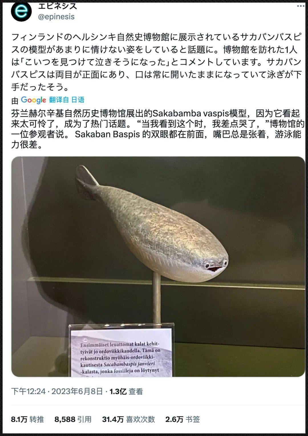 一种灭绝几亿年的"胖头鱼",把自己活成了推特热门的表情包_萨卡班