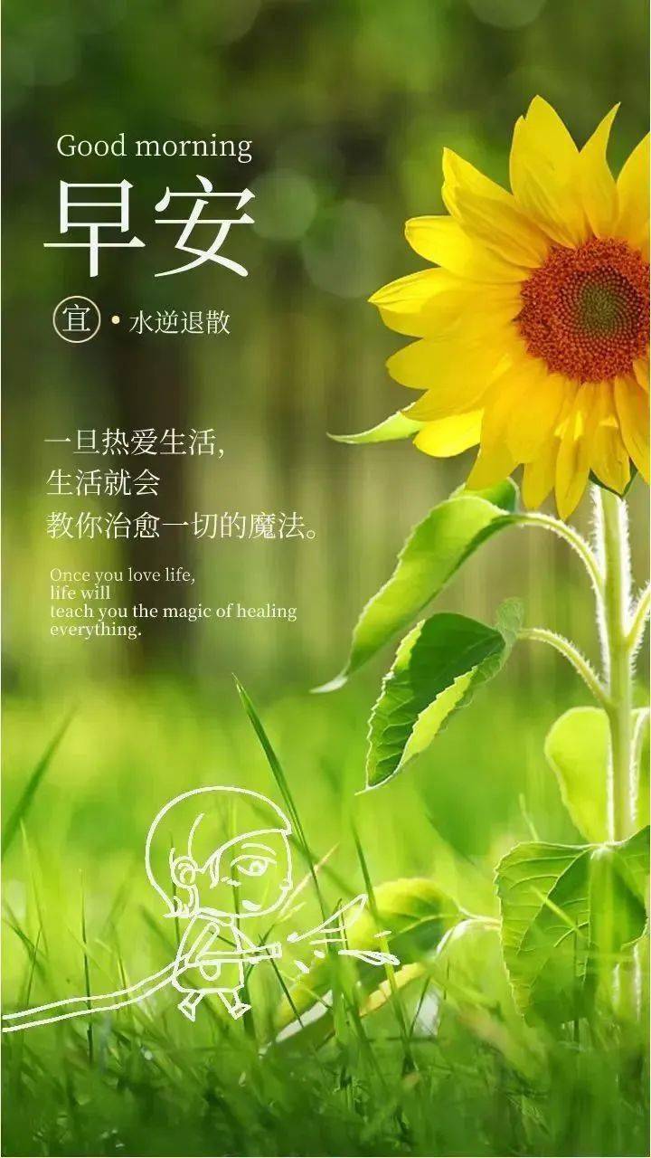 早安6月14日|朋友圈清晨励志一句话!_人生_视频_终归是