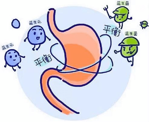 生菌外,使用高纯度益生元短链低聚半乳糖也可以缓解乳糖不耐受的症状