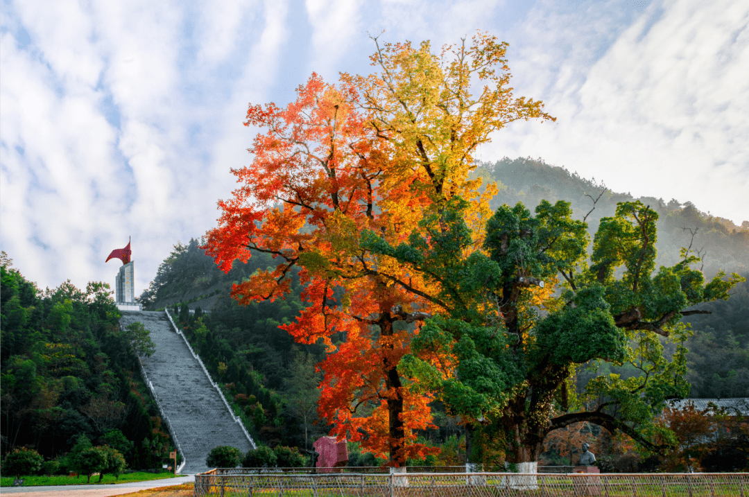 龙源口景区图片