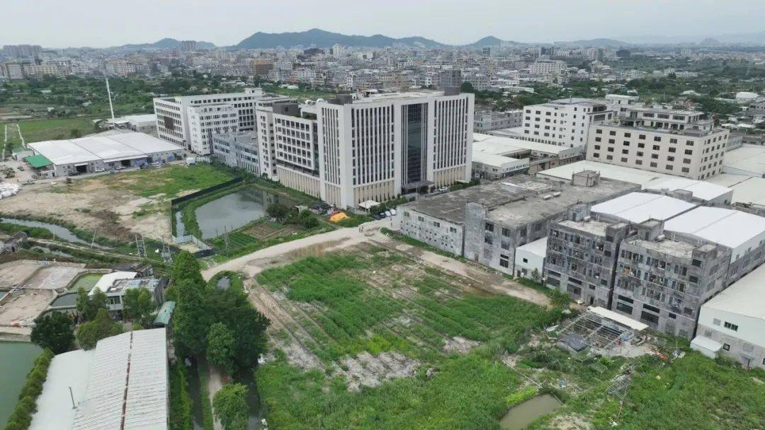 莲下镇:提升城乡面貌和发展承载力 奋力推动实现高质量