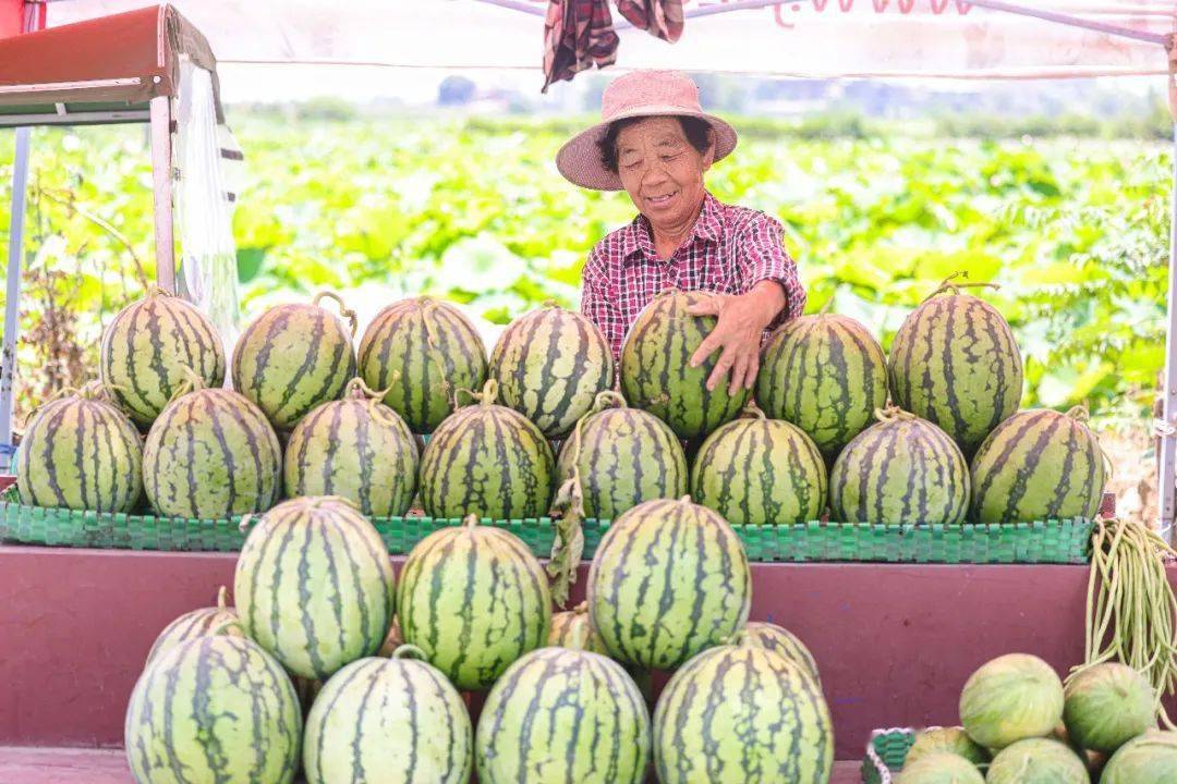 最甜的ta竟然在鄂州_西瓜_蒲团乡_夏日