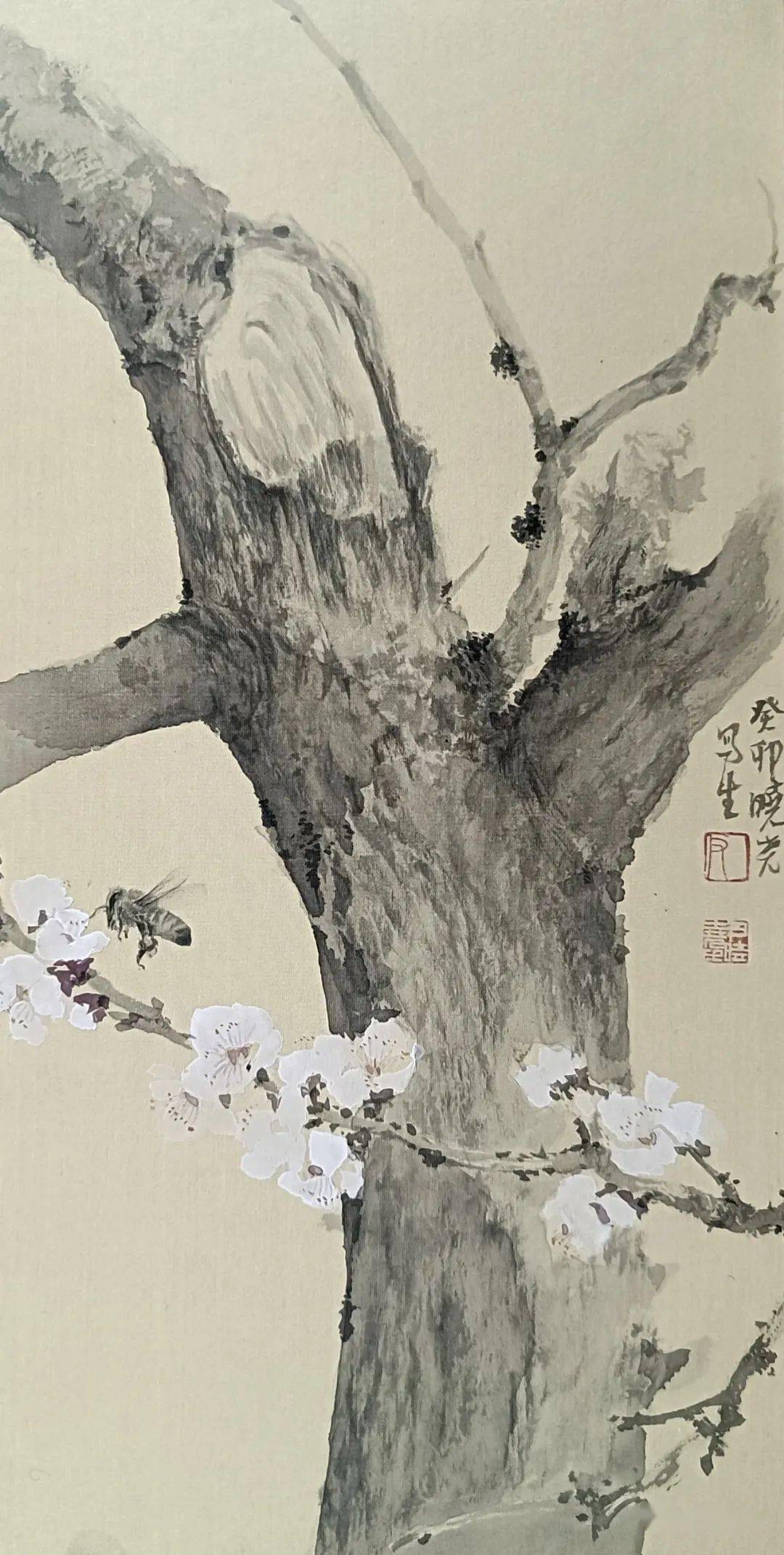 尹晓尧于洪岩张彬张聪张丽娟张美中张明洁张晓琎张效兴张永伟赵炳宇