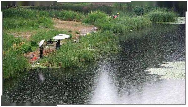 降雨类型不同，不是所有的降雨，都适合我们钓鱼