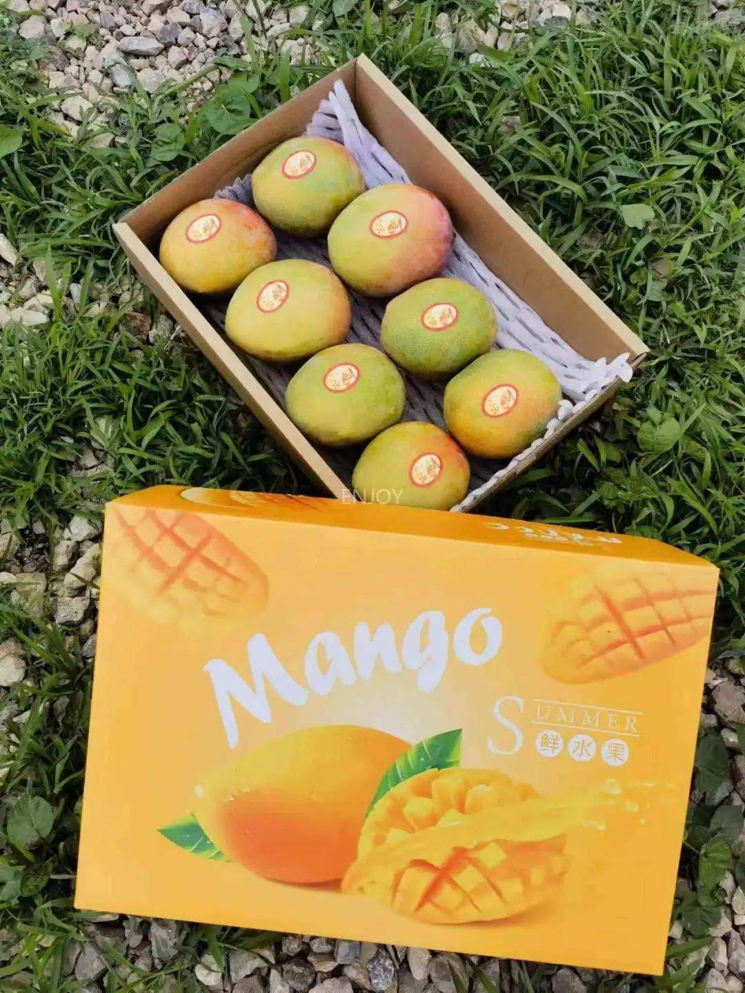 【云南澳芒苹果芒】29.9抢5斤!