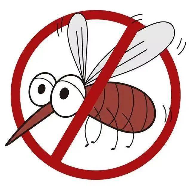 防蚊灭蚊知识小科普_蚊虫_积水_传播