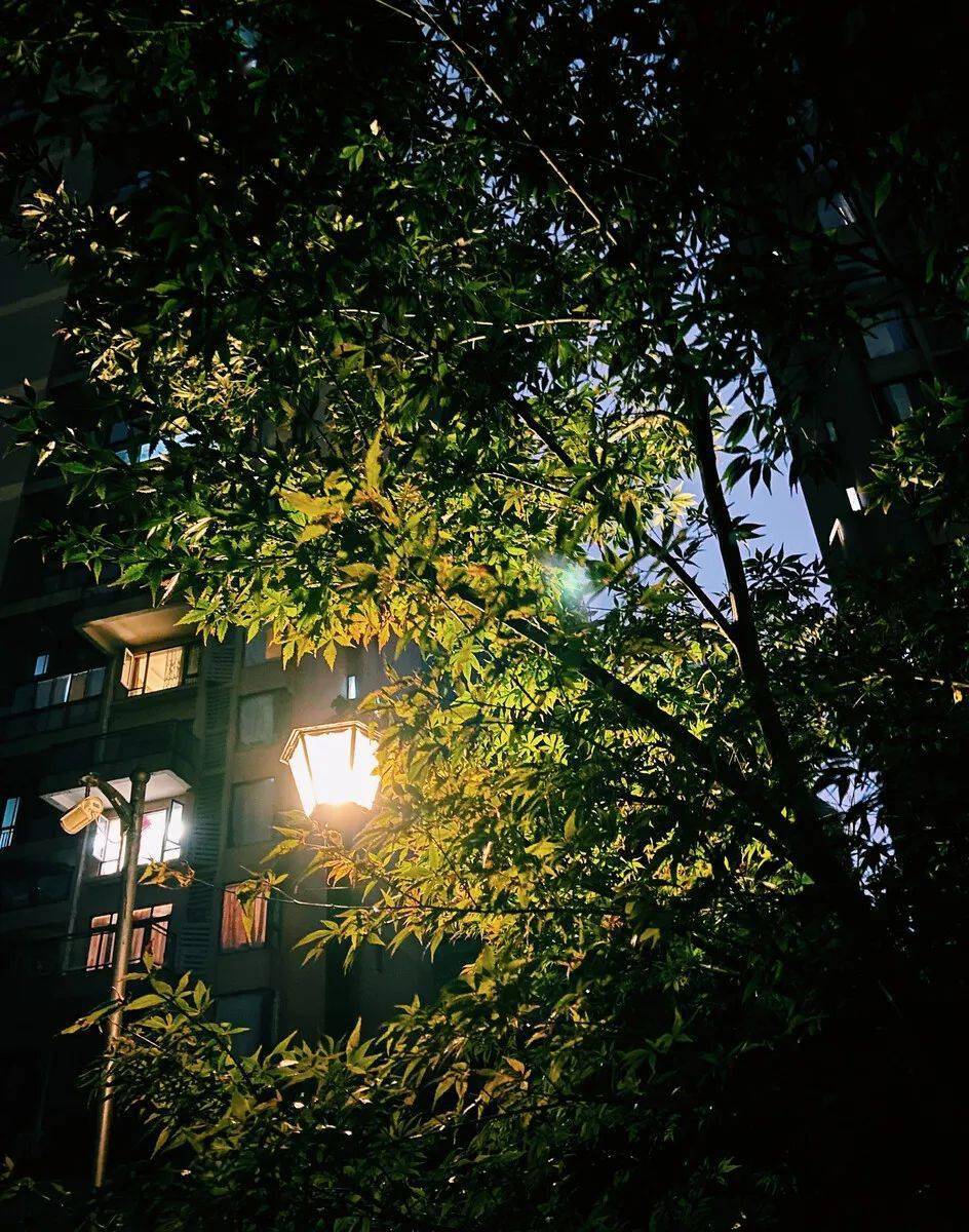 空医夜语丨最长的白昼里 最想的是你_夏天_人生路_秦佳明