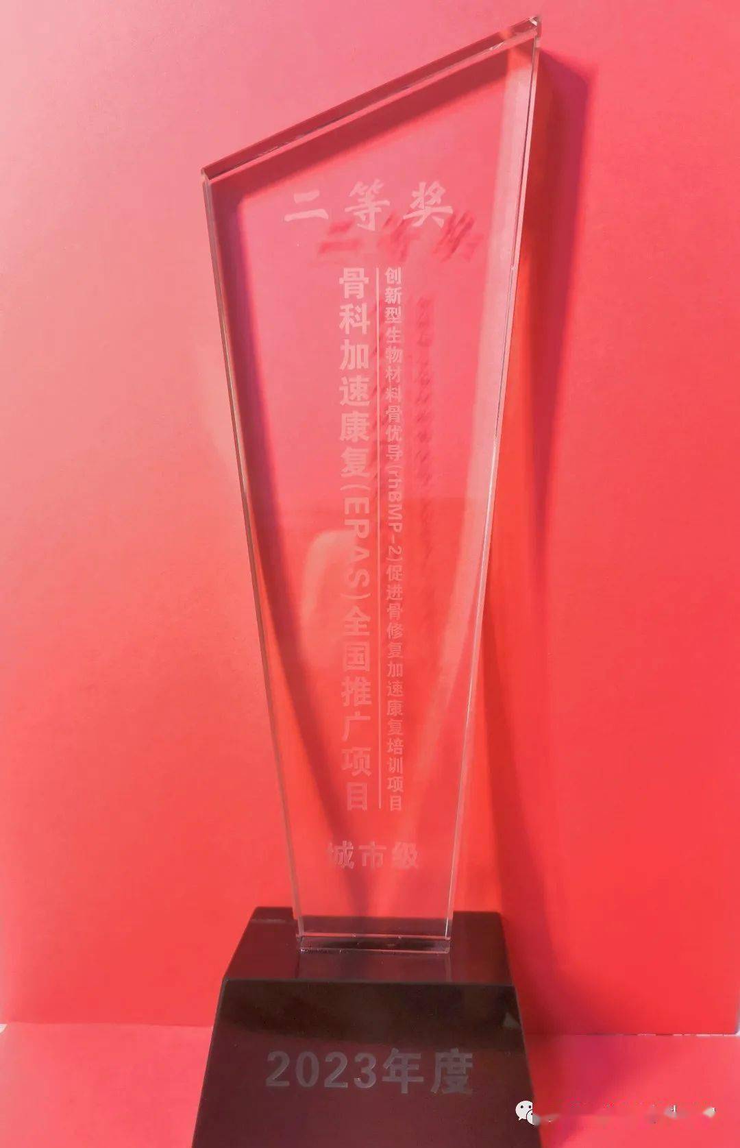 荣誉的获得,与院领导的支持分不开,同时要特别感谢陈伟平导师的辛勤