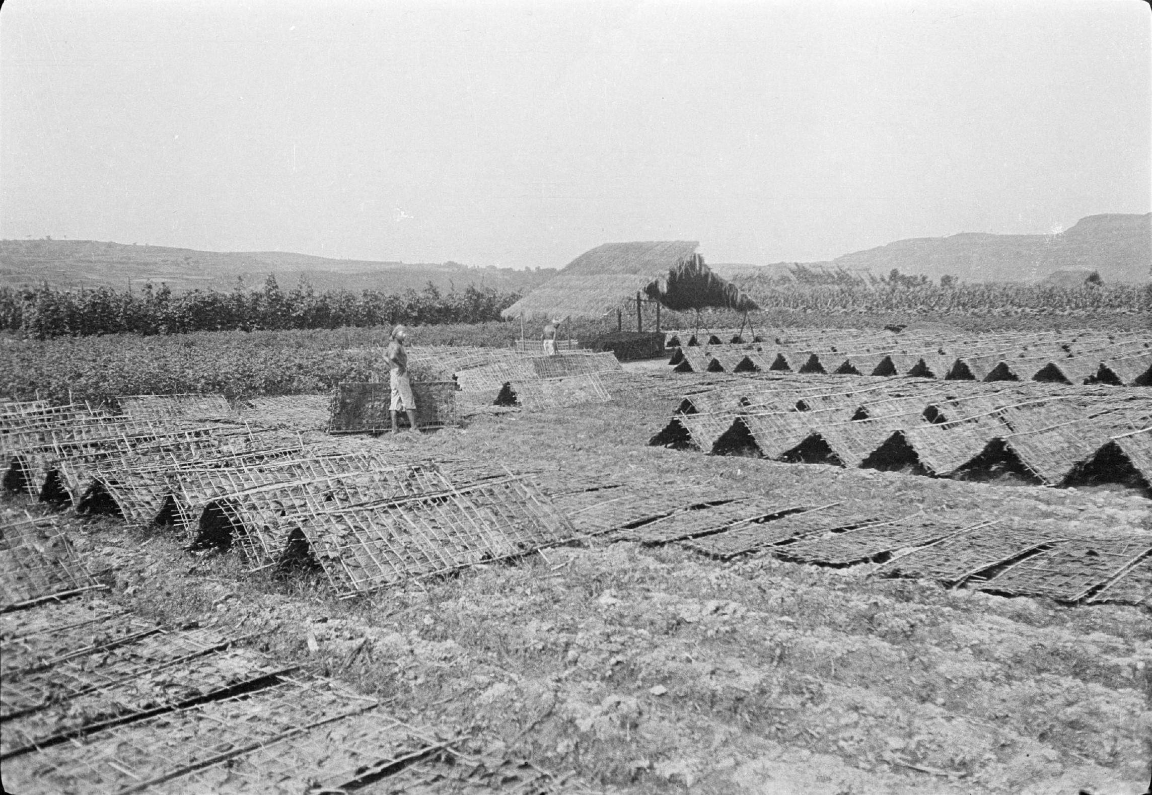 1917年甘博中國行之十二:初到四川遂寧,射洪的老照片_前往_民國時期