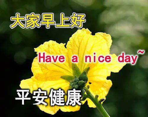 新款早上好图片大全，今天早上好图片最新-早上好的新图片大全动态