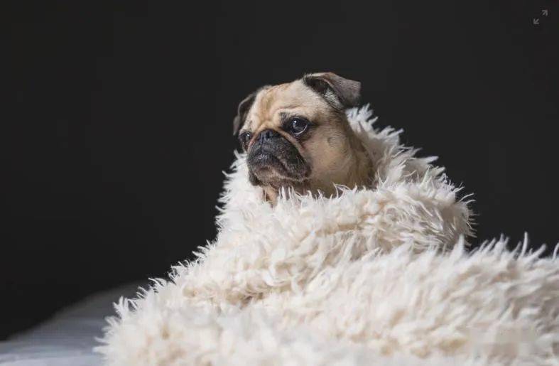 最幽默笑话:《唐僧玩手机》_老头_大妈_妖精