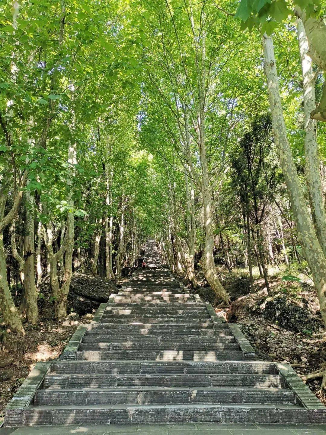 活动时间:6月10日至8月31日活动内容:学生凭准考证,毕业证免景区门票