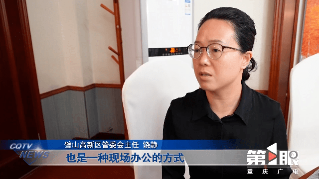 重庆新闻联播一把手专访 | 璧山:绿色引领制造业高质量发展_企业_工作