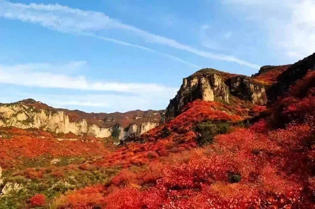 秋天是仙台山最美的季节,这里红叶资源丰富,连续多年被网友评为"全国