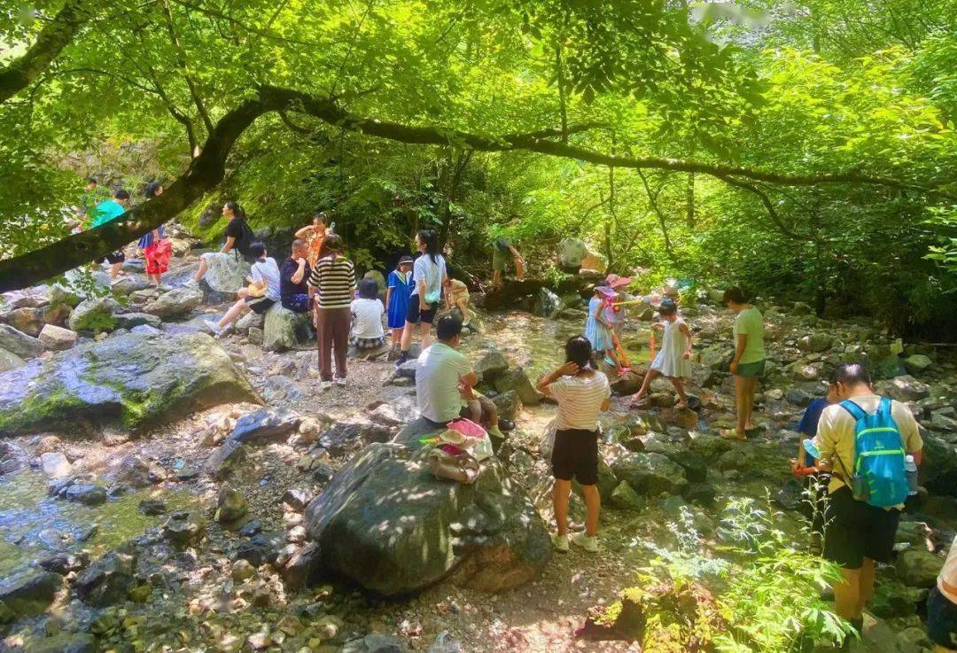 一张门票游全年~牛背梁成为端午热门打卡地~_活动_游客_本人