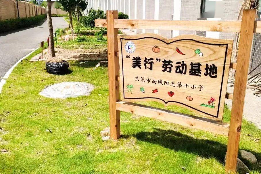 当前全街道24所公民办中小学和62所幼儿园共建设86个校内劳动实践基地