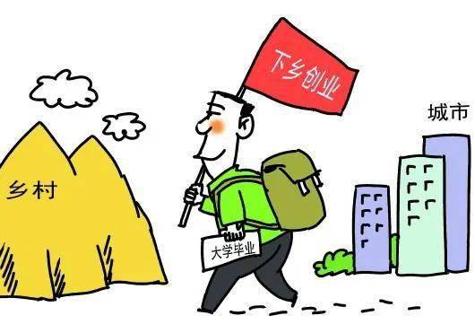 乡村振兴丨大学生返乡创业成为新选择_就业_发展_空气