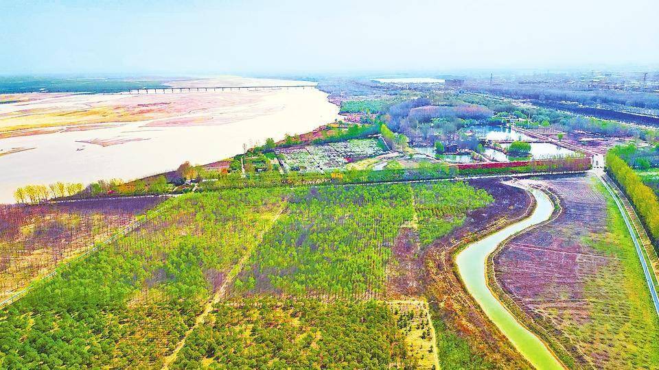 黄河生态草坪位置图片