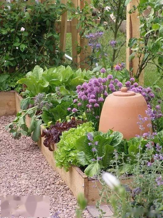 国外的菜园_庭院_改造_面积