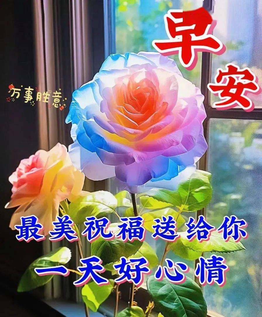 早安图片正能量 花语图片