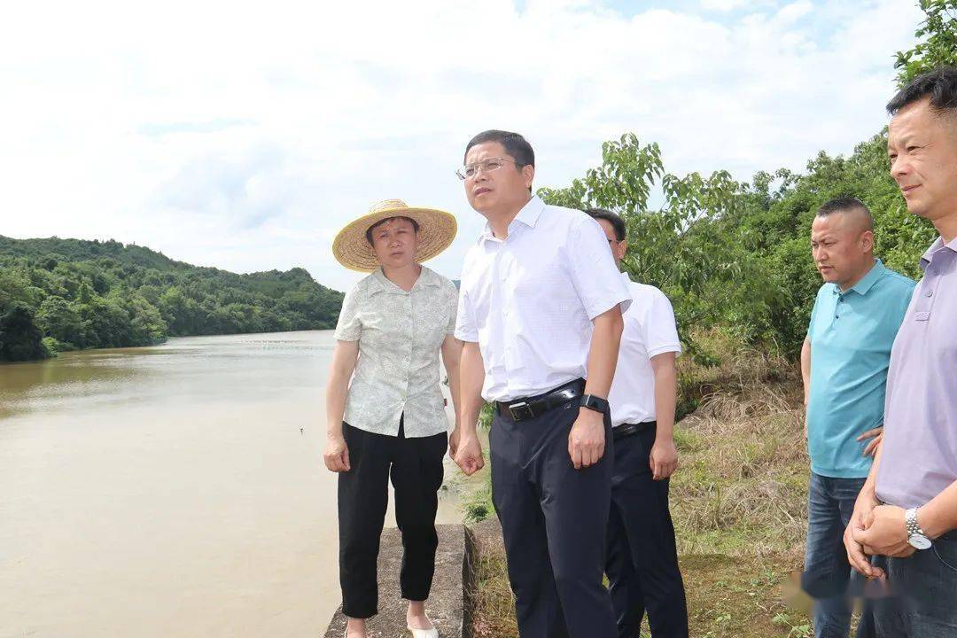 倪卫春督导防汛和安全生产工作_应急_水库_昌江