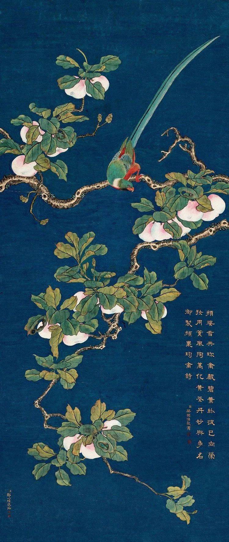 清代邹氏最著名的画家之一:邹一桂工笔花鸟画作品欣赏_花卉_礼部_乾隆