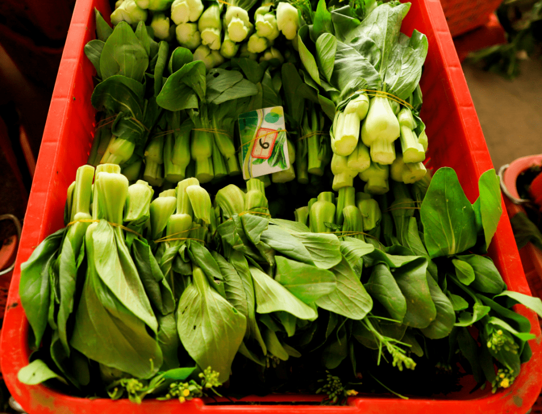 宁夏蔬菜"走俏"全国,有何秘诀?_菜心_市场_产品