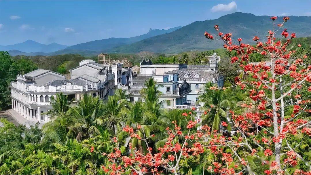 电影《消失的她》在保亭取景,来打卡~_什玲镇_民国_摄影