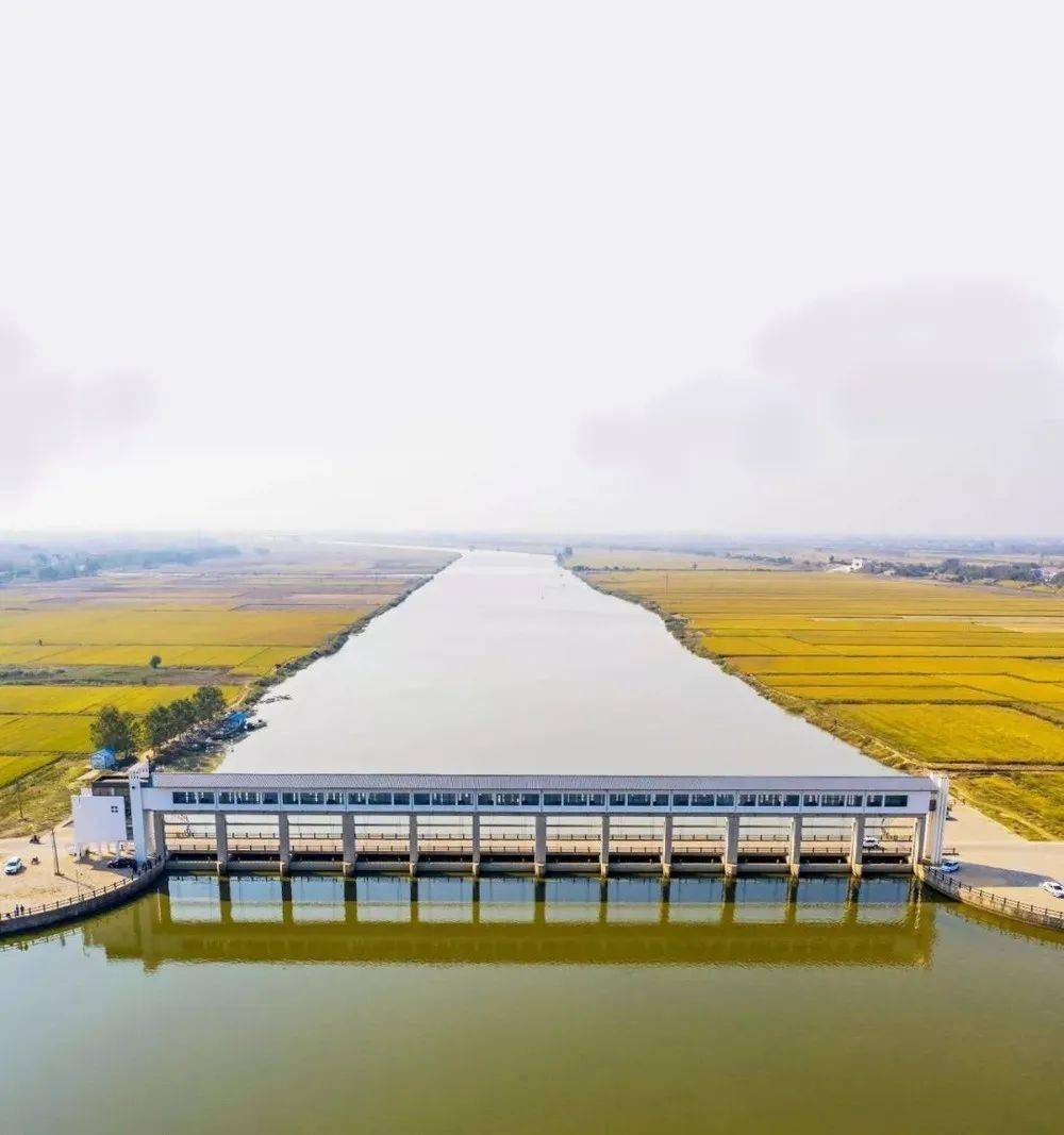 新沭河:一条与渡江战役同日开建的大河 | 方志江苏_入海_水利工程
