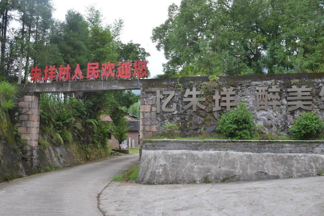 平阳西部的高山梯田茶园间,新建了民宿和栈道!_建设_顺溪镇_视频