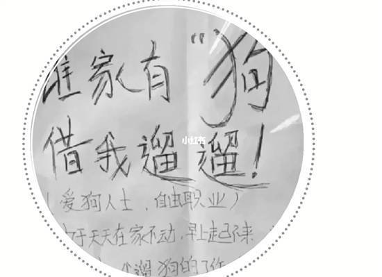 借我遛遛!免费"代遛狗"火了