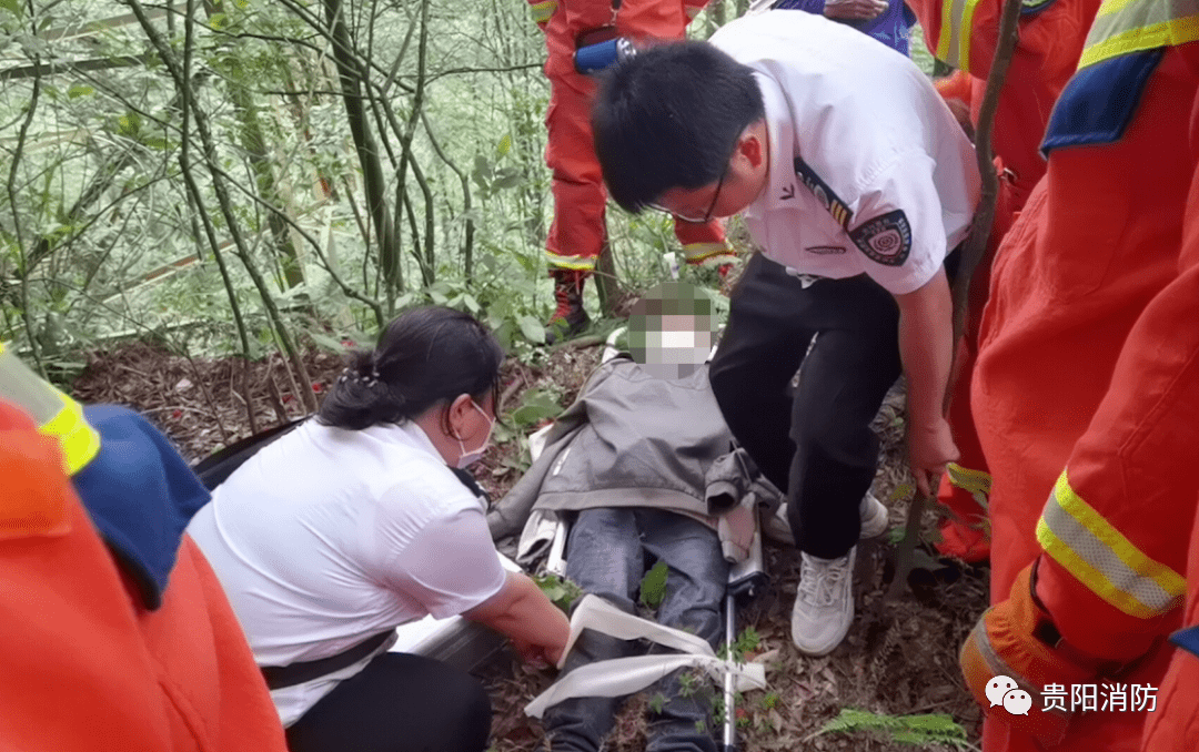 采摘需谨慎!男子上树摘杨梅不慎摔落致腰椎骨折,贵阳消防紧急救援