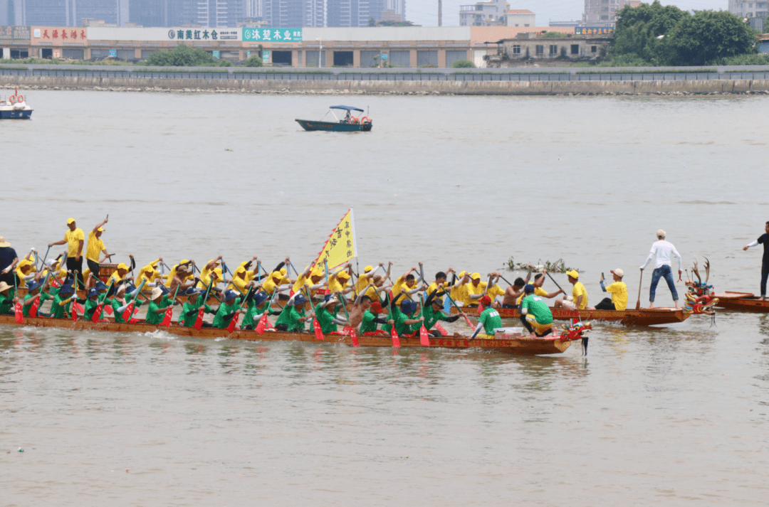 60多艘龙船“闹”东江!前方多图直击新塘 “龙船景”盛况_龙舟_活动_传统