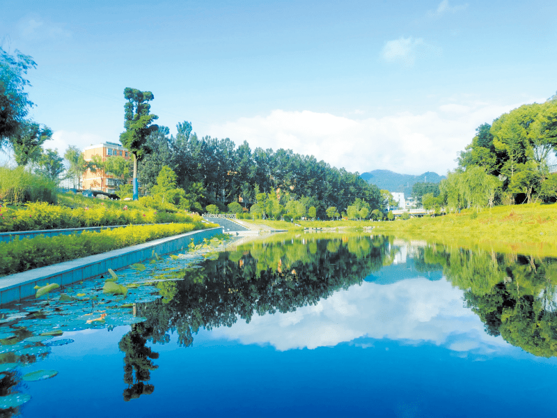 【聚焦乡村建设六件事】碧水白鹭飞 乡村入画来 ——茅箭区积极探索