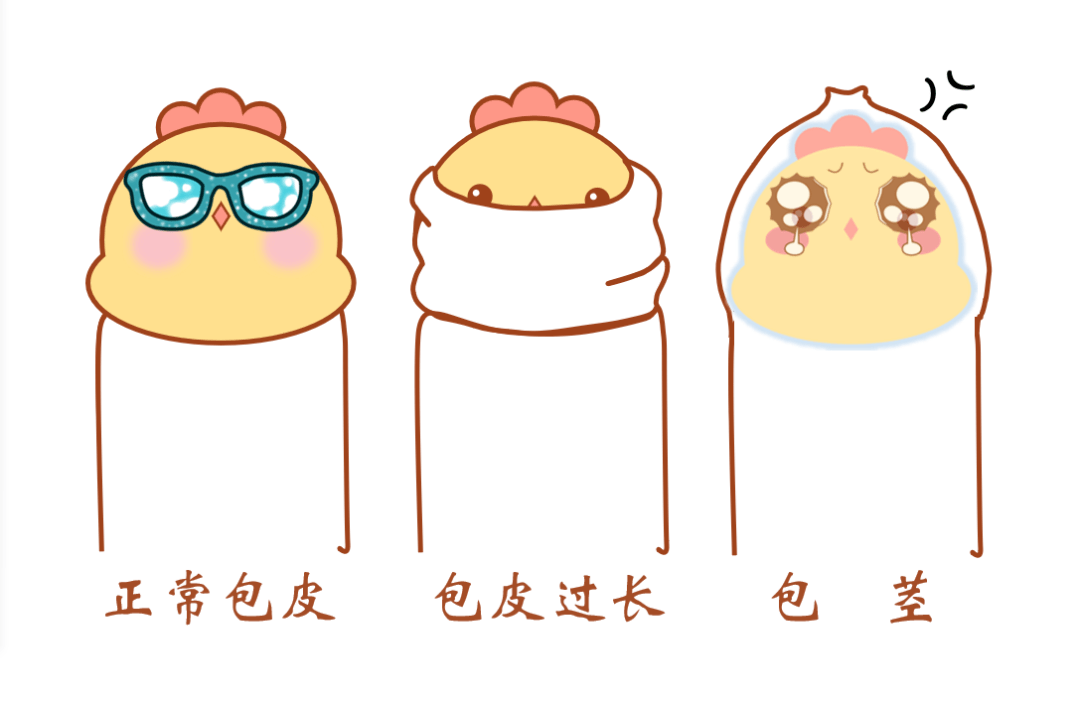 来自搜狐网