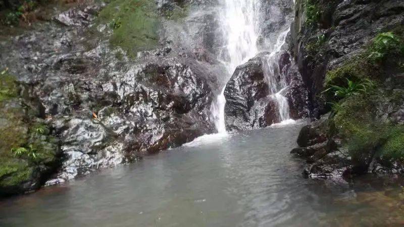桃坑景点:千潭瀑布_元村_何仙姑_村庄
