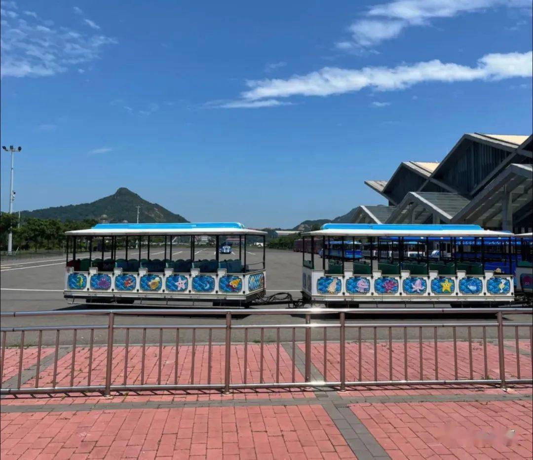 帝都高铁就能直达的海边城市,暑假说走就走,赶海,发