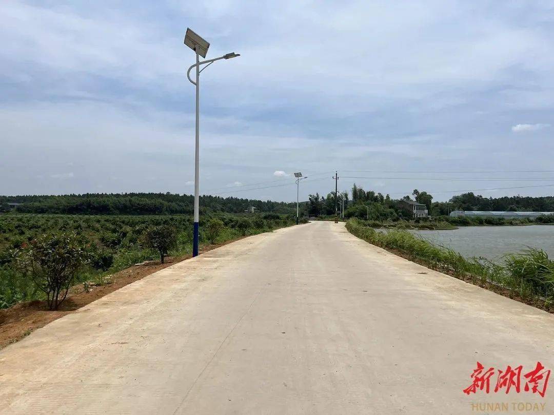 湘潭县柳桥村:土地"转"出致富路_种植_辣椒_湘潭市