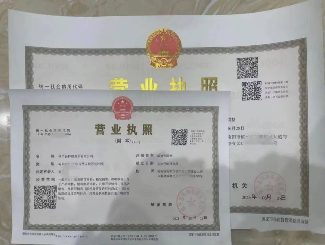 镇平县市场监管局立足已开展电子营业执照和电子印章的基础上率先推出