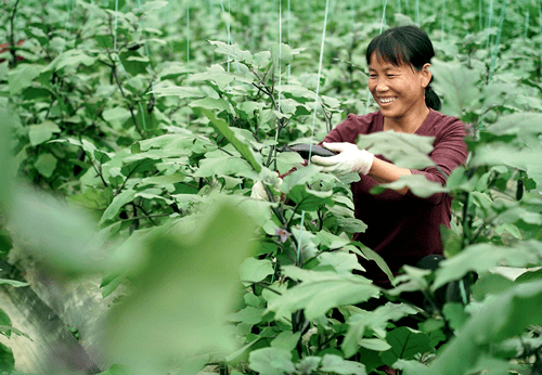 于都县人口_凤凰资讯_资讯_凤凰网