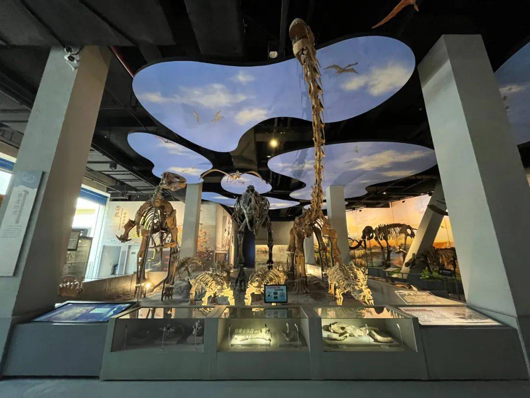 山西地质博物馆上新~ 世界级10件锯齿龙类化石成团亮相