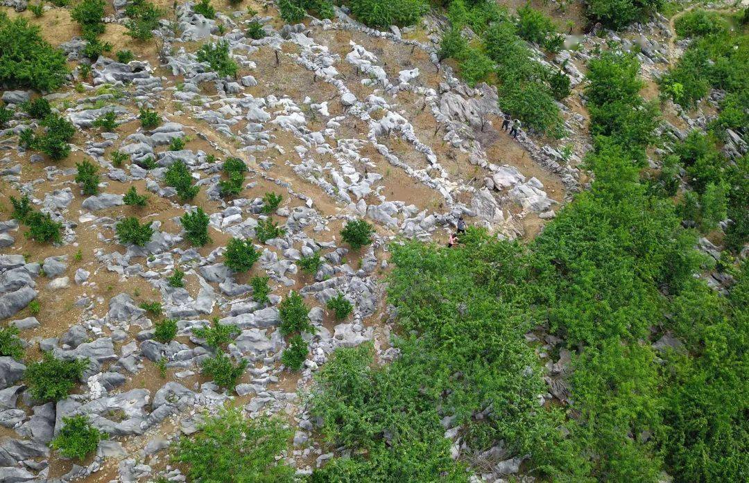 高考地理中的石漠化,高考地理中的土壤侵蚀_地表_土地_地区