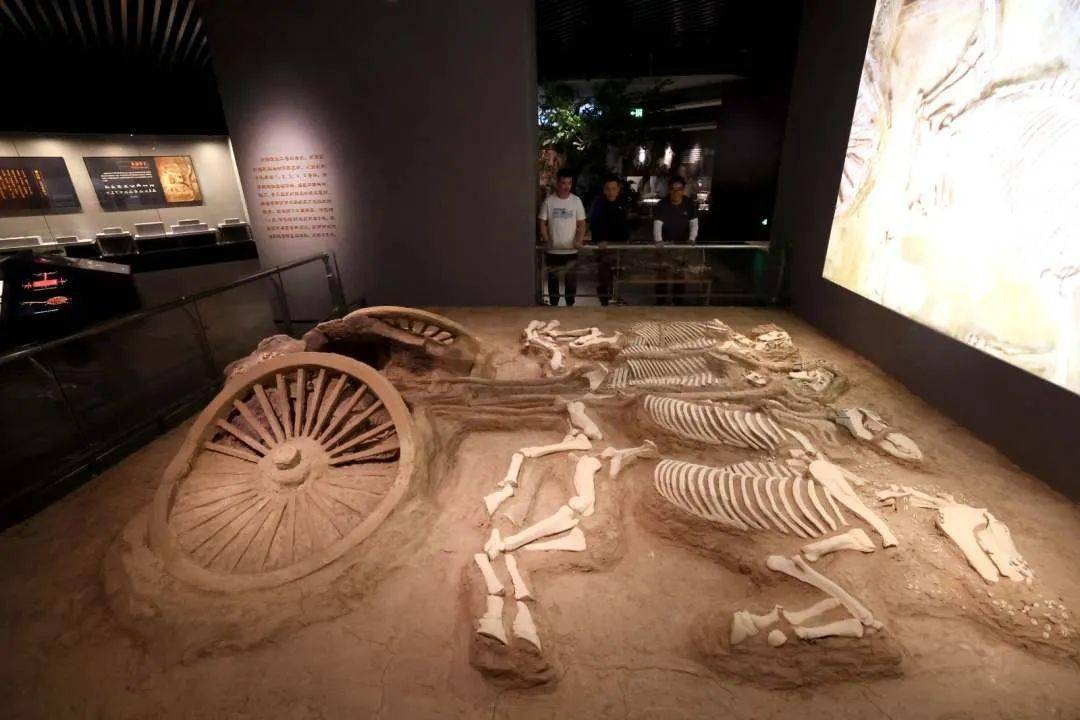 屏交互查询,多媒体景观等展示方法,巧妙复原白狄-鲜虞部落生活场景,让