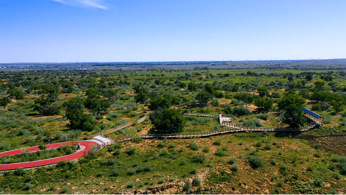 八步沙的荒漠化防治和绿色发展之路_治沙_老汉_沙林