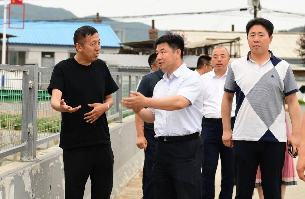 委书记付彦平带队调研督导创城,"七边"治理等工作_部门_相关_大东街道