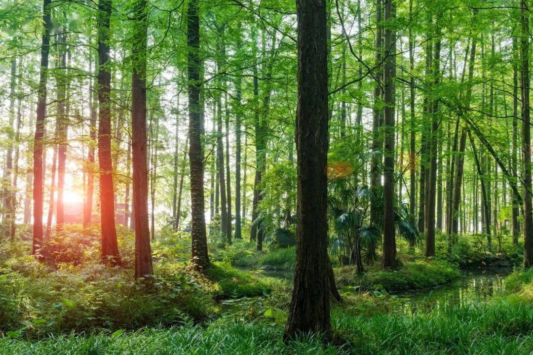 【特惠航线】06360起来森林清凉一夏,附北京大兴=阿勒泰等新开航