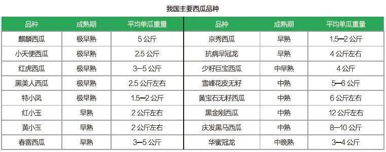 小果型品种西瓜的异军突起_美都_市场_种植