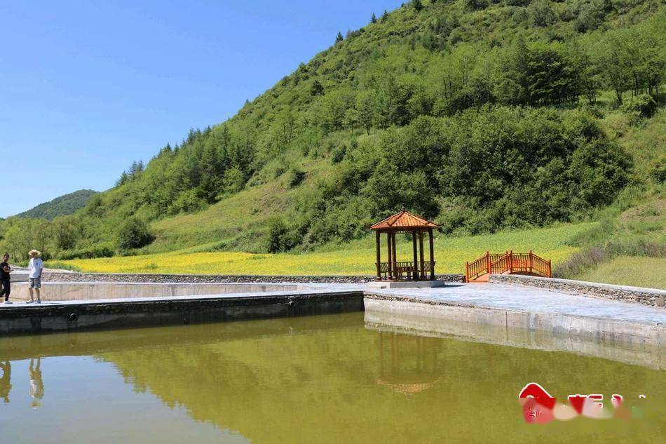 武山县杨河镇:和美乡村展新颜_建设_生态_发展